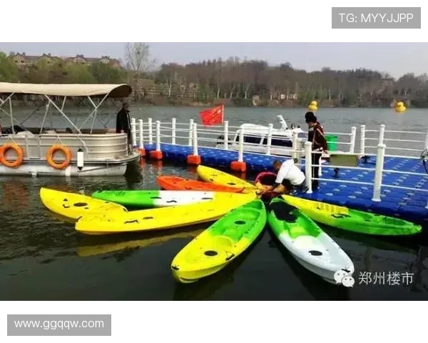 西安羽毛球队的节奏探秘与巨献之旅全景揭秘